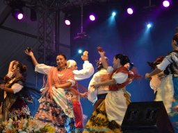 Festival de Folkore en Mula